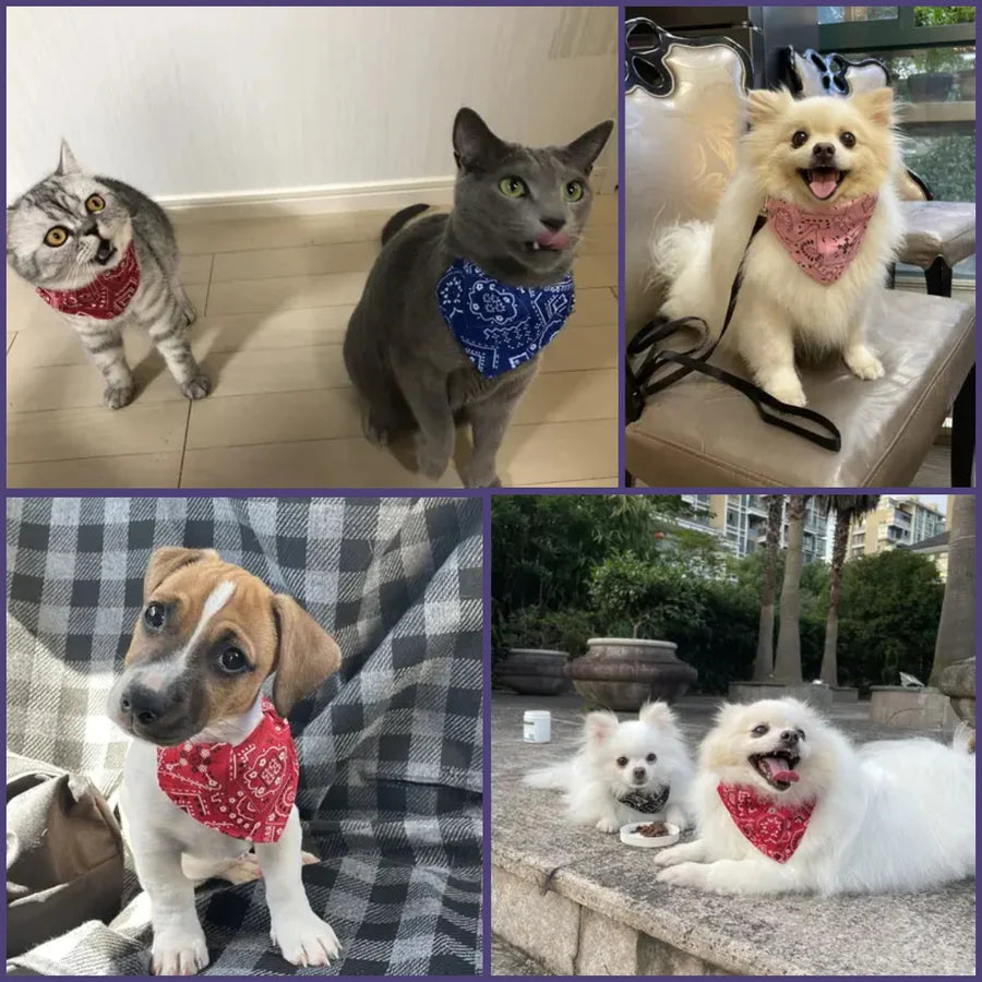 Dieren halsband verstelbaar bandana verschillende kleuren