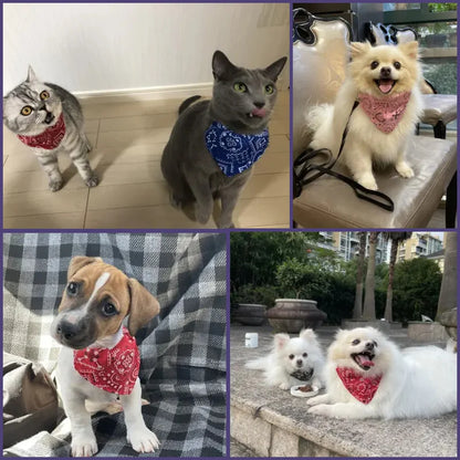 Dieren halsband verstelbaar bandana verschillende kleuren